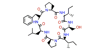 Euryjanicin C